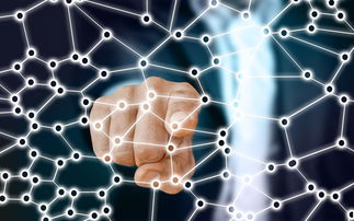 开云网页-中国篮球职业联赛青训体系的结构优化，中国青年篮球联赛简称