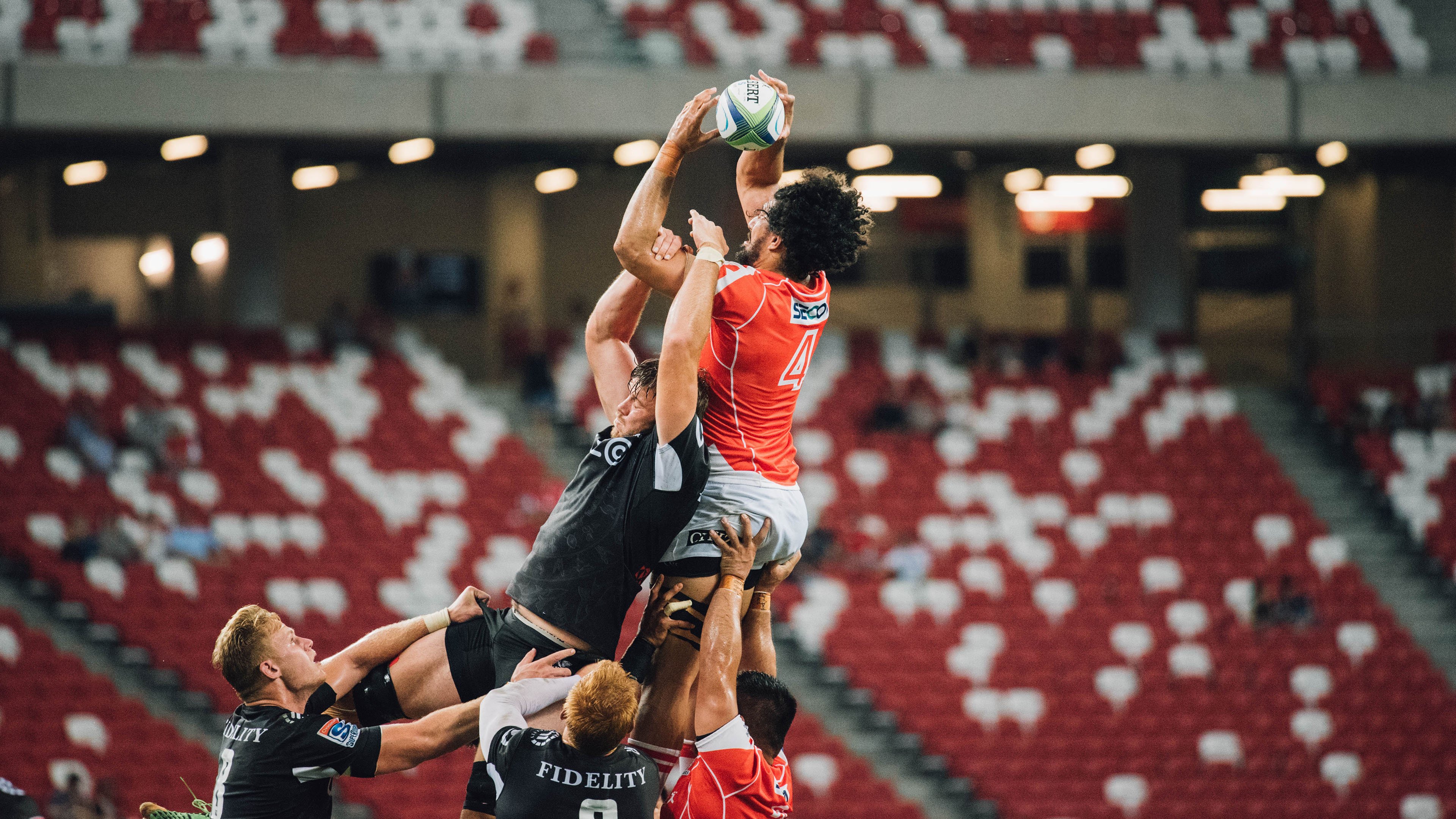 开云网页版登录入口-公牛队逐步崭露头角，迎接未来，公牛队是啥